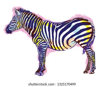 
Zebra pattern markers. Pop Art. Bright print, colored spots. Freehand drawing. Zebra in full growth.