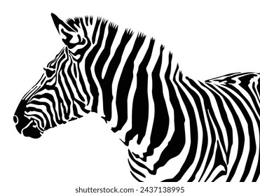 Zebra pattern shape vector illustration for background design.