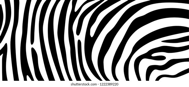 Zebra pattern texture repeating. Simple pattern, black line for textile design fabric. horizontal backdrop, black chaotic stripe isolated on white. hand drawn vector illustration.