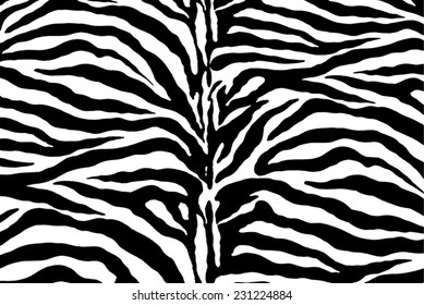 Zebra Pattern, Vector