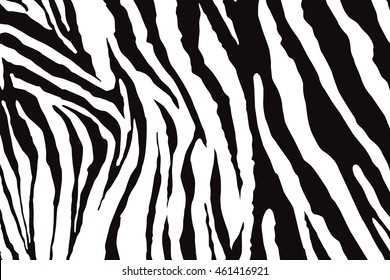 Zebra Pattern Vector