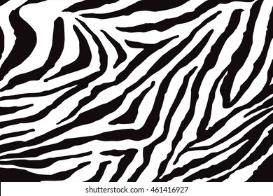 Zebra Pattern Vector