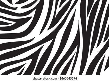 zebra pattern. vector Animals background