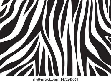 zebra pattern. vector Animals background