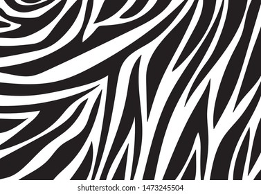 zebra pattern. vector Animals background