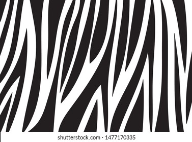 zebra pattern. vector Animals background