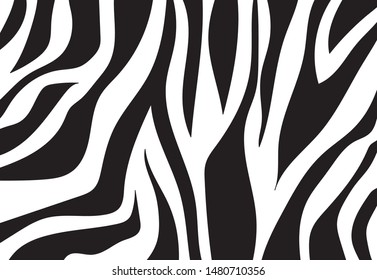 zebra pattern. vector Animals background