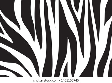 zebra pattern. vector Animals background