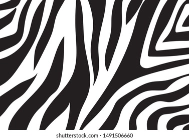 zebra pattern. vector Animals background