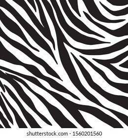 zebra pattern. vector Animals background