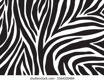 zebra pattern. vector Animals background