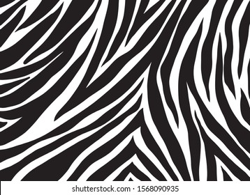 zebra pattern. vector Animals background