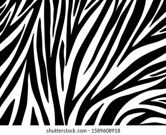 zebra pattern. vector Animals background
