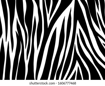 zebra pattern. vector Animals background