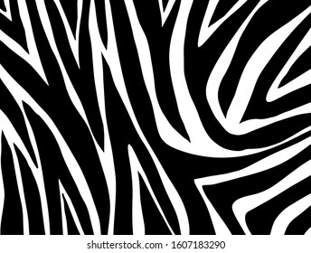 zebra pattern. vector Animals background