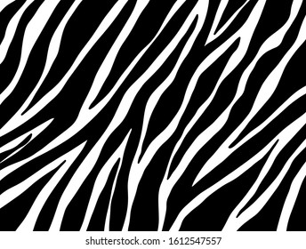 zebra pattern. vector Animals background