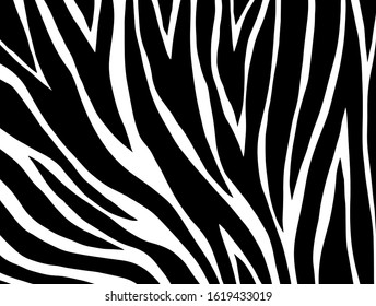 zebra pattern. vector Animals background