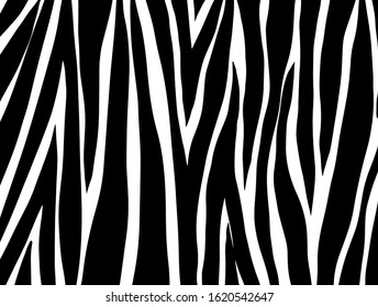 zebra pattern. vector Animals background