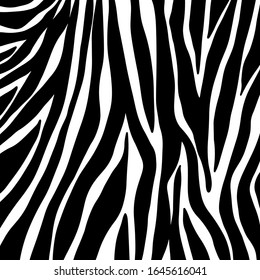 Zebra Pattern Vector Animals Background Stock Vector (royalty Free 