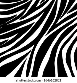 zebra pattern. vector Animals background