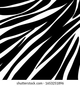 zebra pattern. vector Animals background