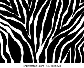 patrón de cebra. fondo de animales vectoriales