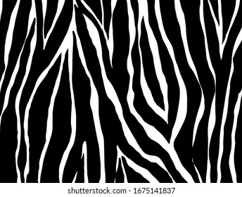 zebra pattern. vector Animals background