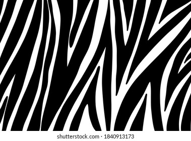 zebra pattern. vector Animals background