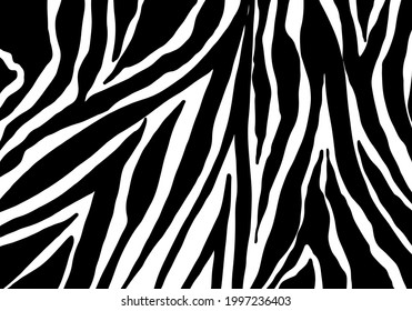 zebra pattern. vector Animals background