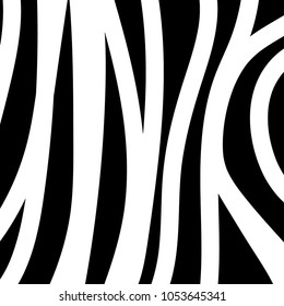 zebra pattern. vector background