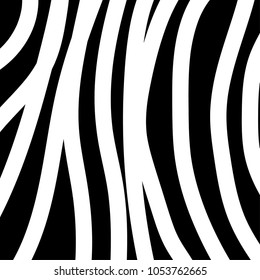 zebra pattern. vector background