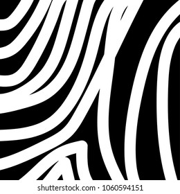 zebra pattern. vector background