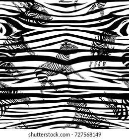 Zebra pattern, vector, illustration