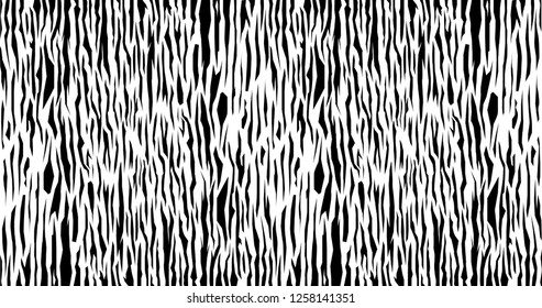Zebra pattern vertor