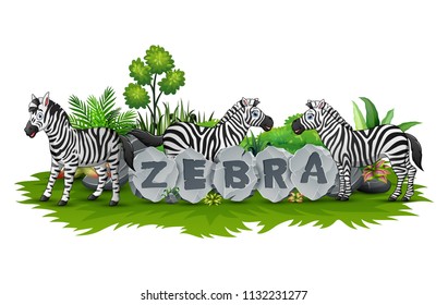 Zebra playing in the garden