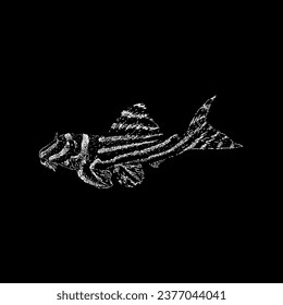 zebra pleco hand drawing vector isolated on black background.