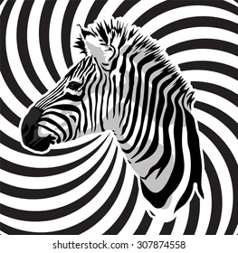Zebra portrait on abstract strips background. Vector illustration.