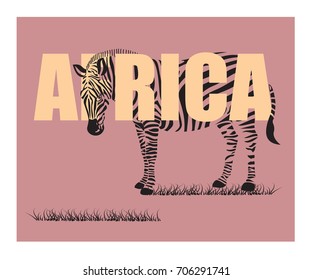Zebra poster and word Africa, vector illustration.