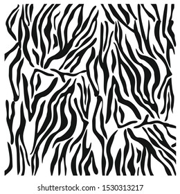 Zebra print, animal fur stripes. Abstract fabric pattern and lines background. Black and White - Equidae family vector