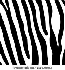 Zebra print, animal skin, line background, fabric. Black and white artwork, monochrome. Wallpaper with black stripes on white background. Zebra stripes hunting camouflage. Vector illustration.