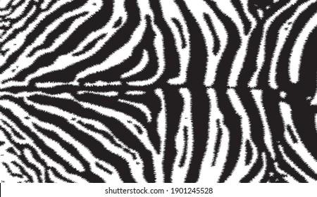 Zebra print, animal skin, line background, Amazing hand drawn vector illustration. Poster, banner. Black and white artwork, 