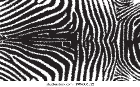 Zebra print, animal skin, line background, Amazing hand drawn vector illustration. Poster, banner. Black and white artwork, 