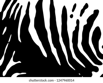 Zebra print, animal skin, tiger stripes, abstract pattern, line background, fabric. Amazing hand drawn vector illustration. Poster, banner. Black and white artwork, monochrome