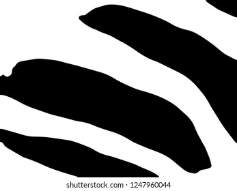 Zebra print, animal skin, tiger stripes, abstract pattern, line background, fabric. Amazing hand drawn vector illustration. Poster, banner. Black and white artwork, monochrome