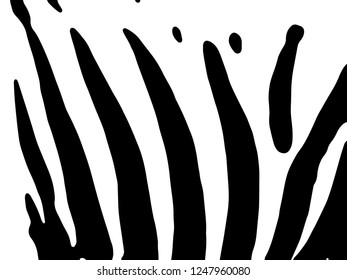 Zebra print, animal skin, tiger stripes, abstract pattern, line background, fabric. Amazing hand drawn vector illustration. Poster, banner. Black and white artwork, monochrome