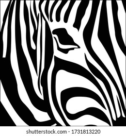 Zebra print, animal skin, tiger stripes, abstract pattern, line background, fabric. Amazing hand drawn vector illustration. Poster, banner. Black and white artwork,