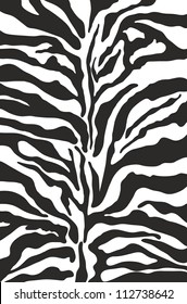 Zebra Print Background Pattern