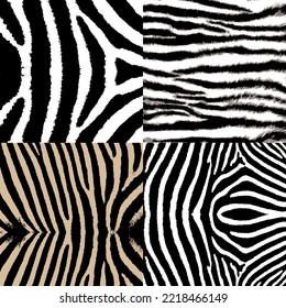 Zebra print collection.Set of Zebra stripes pattern.Zebra skin texture collection