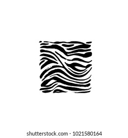 Zebra print / Hand drawn pattern illustrations - vector