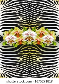 Zebra print and orchid. Texture coloring zebra skins and a bouquet of orchids and leaves